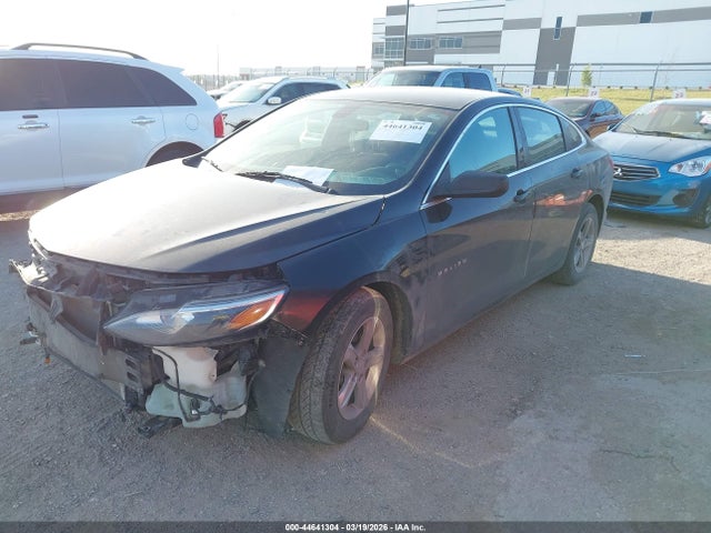 Продаж на аукціоні авто 2019 Chevrolet Malibu 1ls, vin: 1G1ZB5ST8KF220520, номер лоту: 44641304
