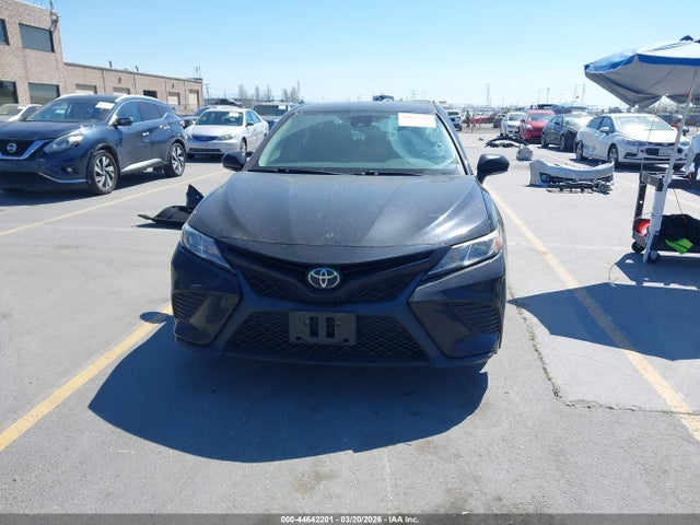 4T1M11AK7LU901055 Toyota CAMRY SE