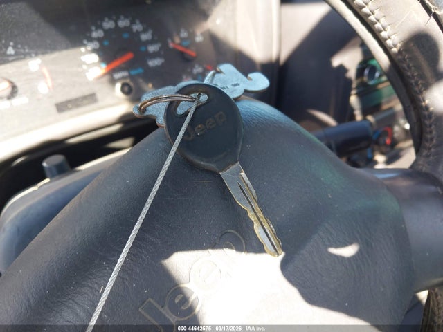 2001 JEEP WRANGLER 1J4FA49S61P357592 Photo 10