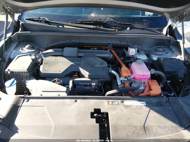 Aukcja sprzedaży 2025 Kia Sorento Hybrid Sx Prestige, vin: KNDRKDJG7S5334553, numer aukcji: 44642638