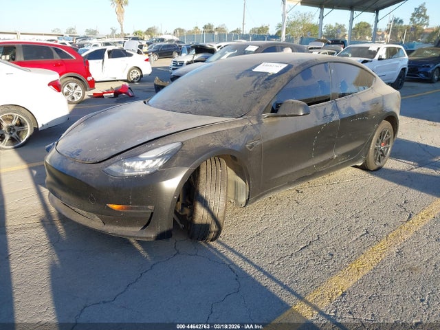 Продаж на аукціоні авто 2019 Tesla Model 3 Long Range/mid Range/standard Range/standard Range Plus, vin: 5YJ3E1EA7KF396423, номер лоту: 44642763