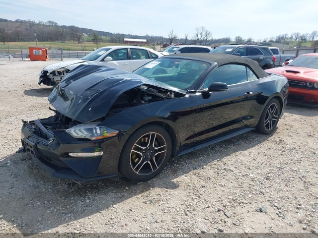 Ford Mustang Ecoboost Premium 2019 1FATP8UH9K5148585 Image 2