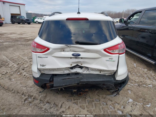 Продажа на аукционе авто 2014 Ford Escape Se, vin: 1FMCU0GX5EUB82438, номер лота: 44643277