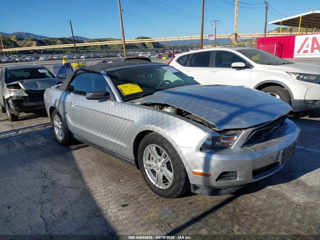 2011 FORD MUSTANG 1ZVBP8EM6B5118104