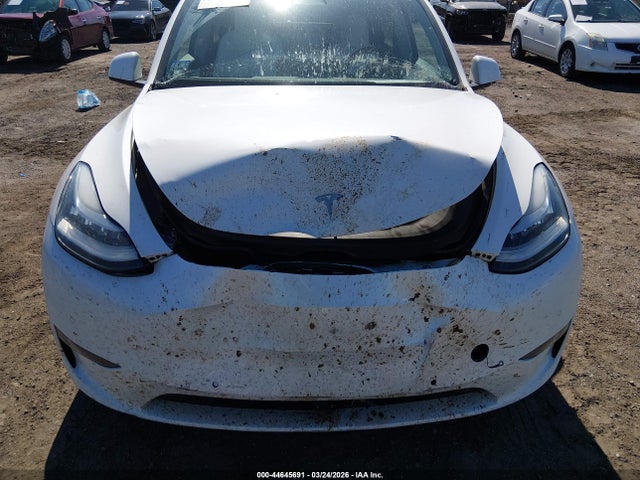 Продаж на аукціоні авто 2021 Tesla Model Y Long Range Dual Motor All-wheel Drive, vin: 5YJYGDEE2MF183421, номер лоту: 44645691