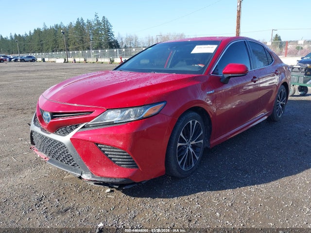 4T1G31AK2LU010260 Toyota Camry Se Hybrid