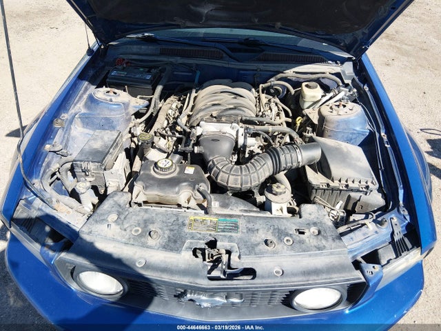 2006 FORD MUSTANG 1ZVHT82H865245780 Photo 9
