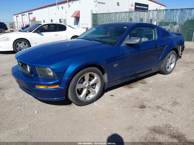 2006 FORD MUSTANG 1ZVHT82H865245780 Photo 1