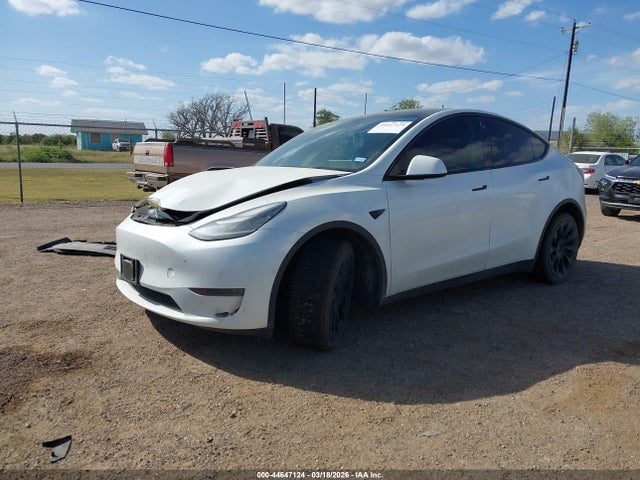 44647124 :رقم المزاد ، 5YJYGDEFXLF002864 vin ، 2020 Tesla Model Y مزاد بيع