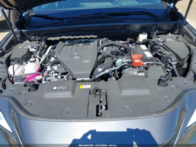 2025 Lexus Nx 350 F Sport Handling მანქანა იყიდება აუქციონზე, vin: 2T2KGCEZ7SC060925, აუქციონის ნომერი: 44647250