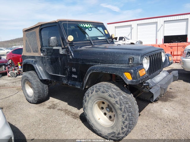 Auction sale of the 2004 Jeep Wrangler Sahara, vin: 1J4FA59S04P703873, lot number: 44647775