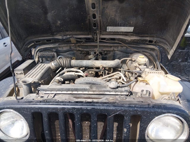 2004 Jeep Wrangler Sahara მანქანა იყიდება აუქციონზე, vin: 1J4FA59S04P703873, აუქციონის ნომერი: 44647775