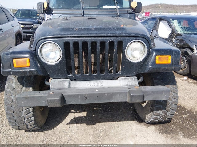 2004 Jeep Wrangler Sahara მანქანა იყიდება აუქციონზე, vin: 1J4FA59S04P703873, აუქციონის ნომერი: 44647775