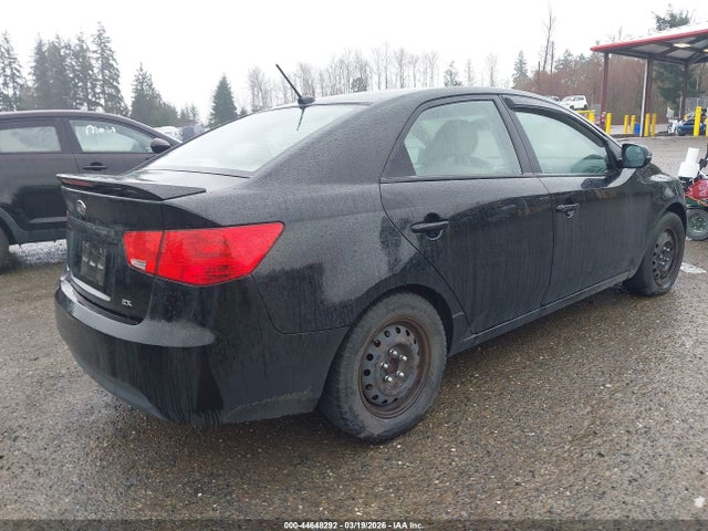 Продаж на аукціоні авто 2013 Kia Forte Ex, vin: KNAFU4A28D5704328, номер лоту: 44648292