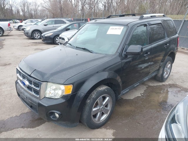 2011 FORD ESCAPE 1FMCU0EG5BKB98021 Photo 1