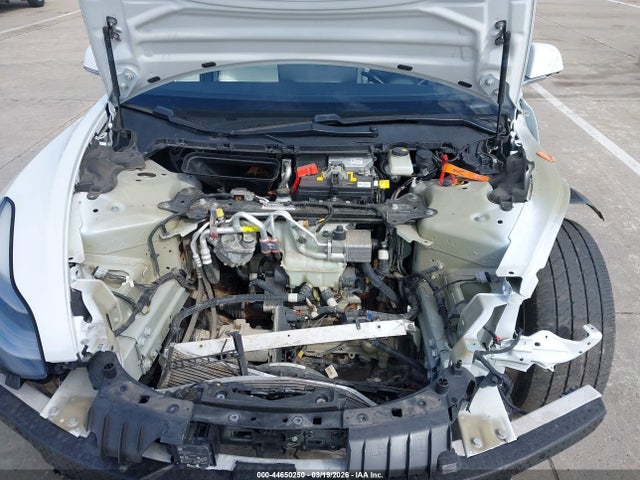44650250 :رقم المزاد ، 5YJ3E1EB3KF513343 vin ، 2019 Tesla Model 3 Long Range/performance مزاد بيع