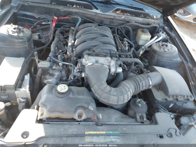 2007 FORD MUSTANG 1ZVFT85H975215899 Photo 9