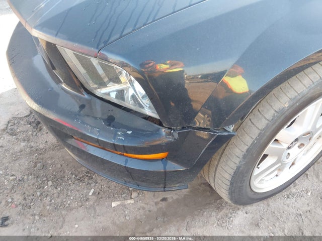 2007 FORD MUSTANG 1ZVFT85H975215899 Photo 5