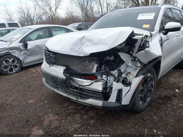 Продажа на аукционе авто 2025 Kia Sorento S, vin: 5XYRLDJC7SG313090, номер лота: 44651519