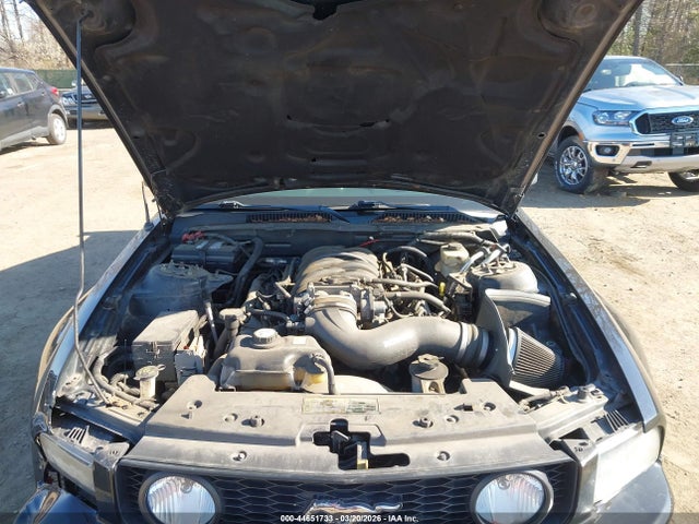 2005 FORD MUSTANG 1ZVFT82H055164407 Photo 9