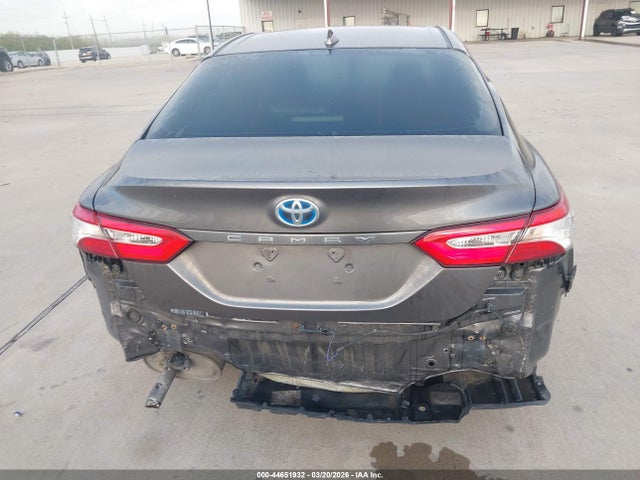 4T1B31HK3KU514587 Toyota Camry Hybrid Le