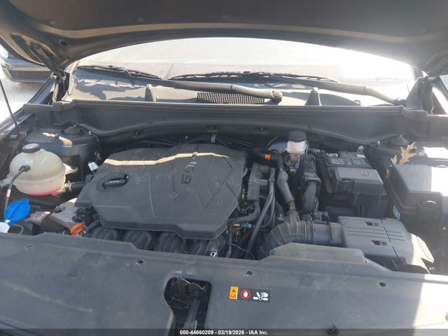 44660209 :رقم المزاد ، 5XYK6CAF6PG114875 vin ، 2023 Kia Sportage X-line مزاد بيع