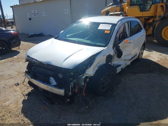 2019 KIA NIRO PLUG-IN HYBRID KNDCD3LD5K5290548 Photo 1