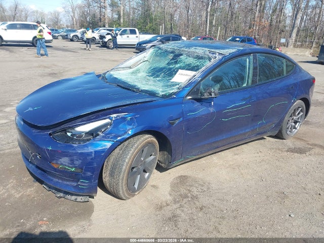 Auction sale of the 2023 Tesla Model 3 Rear-wheel Drive, vin: 5YJ3E1EA9PF495008, lot number: 44660666