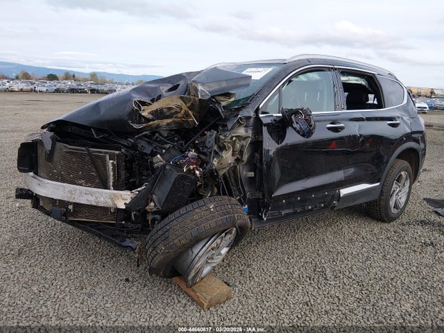 Продаж на аукціоні авто 2023 Hyundai Santa Fe Sel, vin: 5NMS3DAJ9PH539807, номер лоту: 44660817