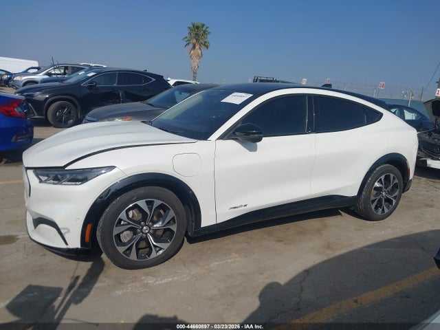 Ford Mustang Mach-e Premium 2023 3FMTK3RM2PMA31302 Image 14