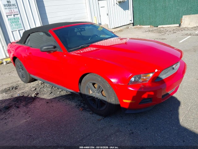 2011 FORD MUSTANG 1ZVBP8EM7B5100274