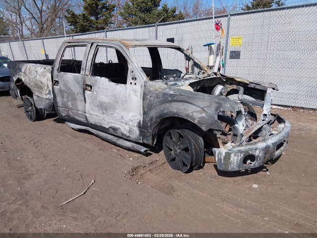 2014 FORD F-150 1FTFW1ET4EKF22725