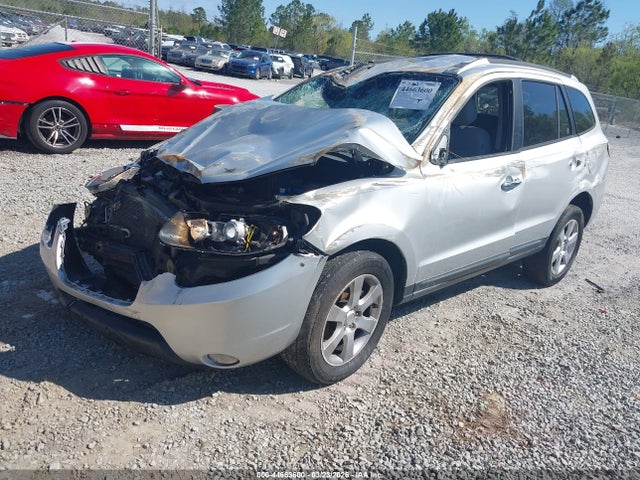 Aukcja sprzedaży 2009 Hyundai Santa Fe Se, vin: 5NMSH13E19H250424, numer aukcji: 44663600