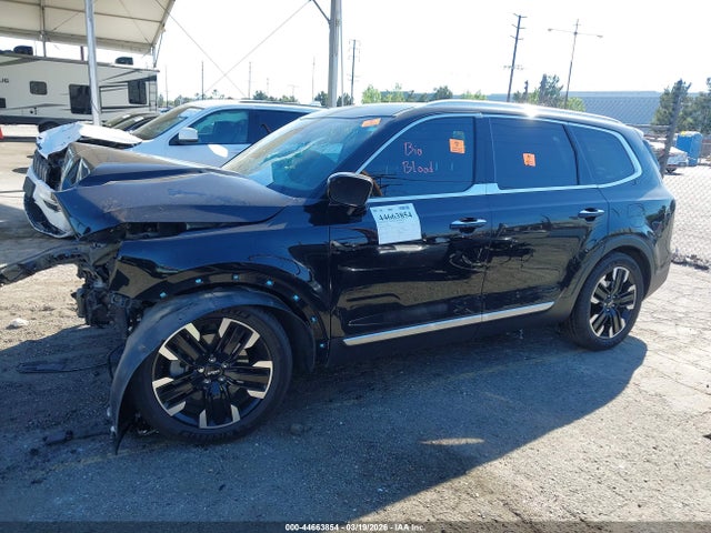 KIA Telluride Sx 2023 5XYP54GC5PG385020 Image 13