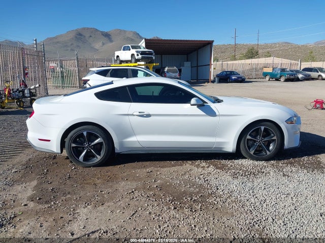 Ford Mustang Ecoboost 2019 1FA6P8TH0K5106384 Image 12