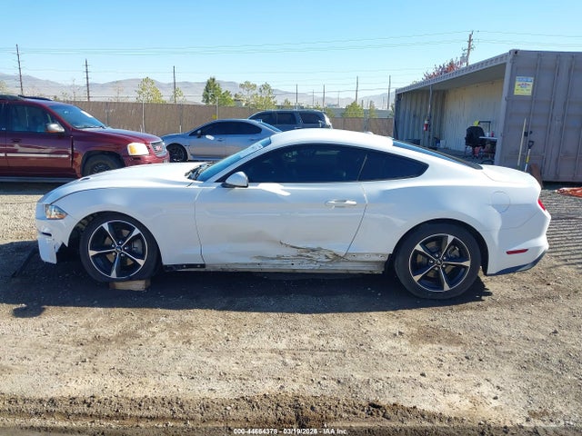 Ford Mustang Ecoboost 2019 1FA6P8TH0K5106384 Image 13