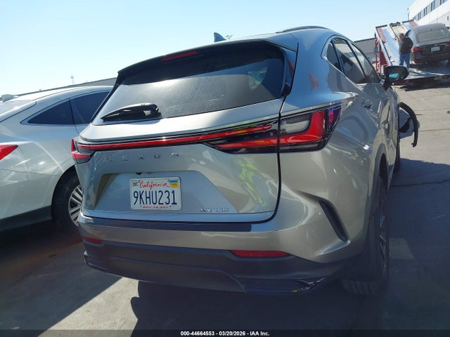 2024 Lexus Nx 250 მანქანა იყიდება აუქციონზე, vin: 2T2ADCAZ2RC013077, აუქციონის ნომერი: 44664553