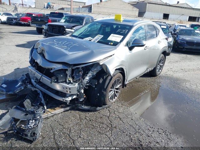 2024 LEXUS NX 250 2T2ADCAZ2RC013077 Photo 1