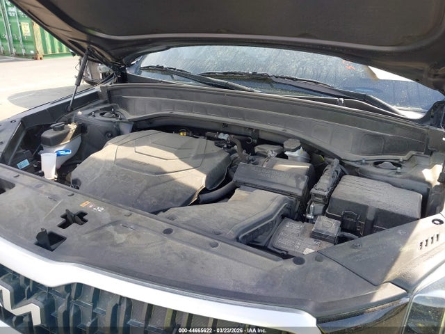 2024 Kia Telluride Ex მანქანა იყიდება აუქციონზე, vin: 5XYP3DGC1RG440894, აუქციონის ნომერი: 44665622
