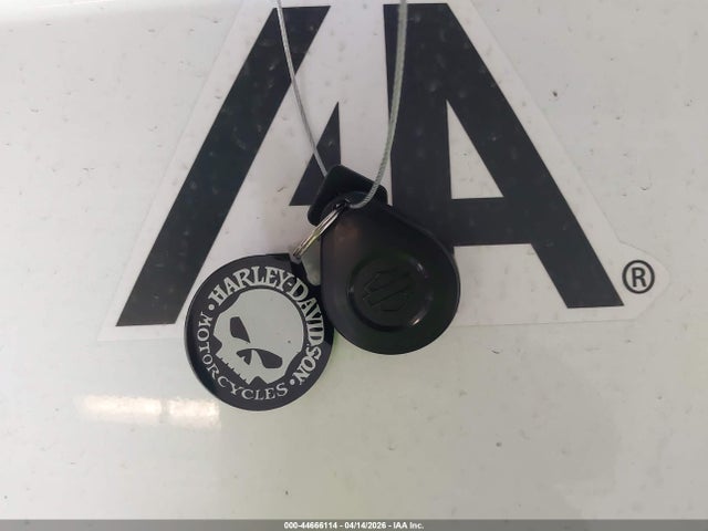 2020 HARLEY-DAVIDSON FLTRXS 1HD1KTP10LB624791 Photo 10