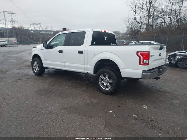 Ford F-150 Xlt 2016 1FTEW1EG2GFB27582 Image 3