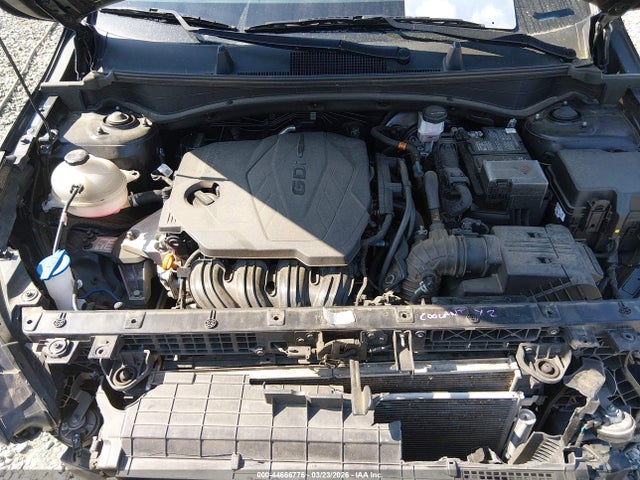 44666776 :رقم المزاد ، 5XYK33DF8RG183140 vin ، 2024 Kia Sportage Ex مزاد بيع