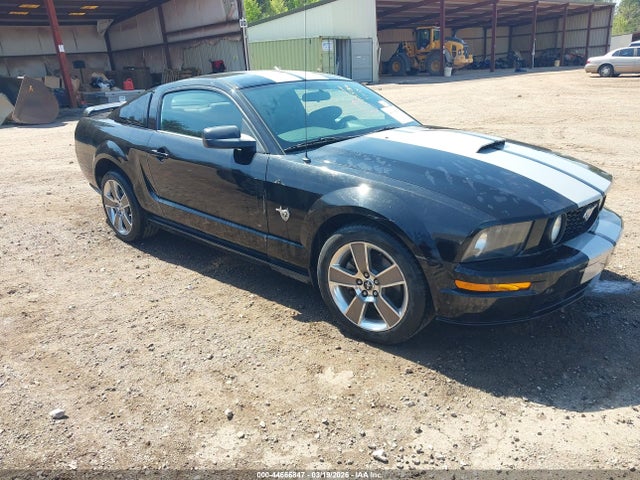 2009 FORD MUSTANG 1ZVHT82H795135789