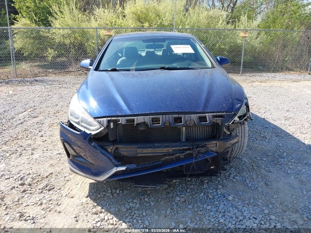 Продаж на аукціоні авто 2019 Hyundai Sonata Eco, vin: 5NPE24AA9KH801269, номер лоту: 44667519