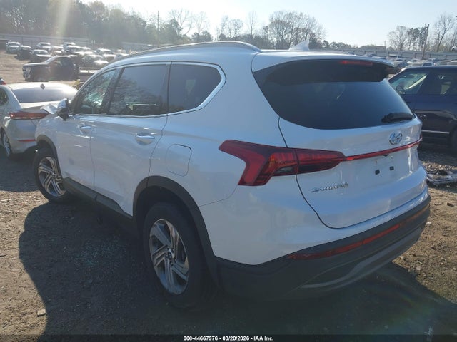 44667976 :رقم المزاد ، 5NMS24AJ9PH566217 vin ، 2023 Hyundai Santa Fe Sel مزاد بيع