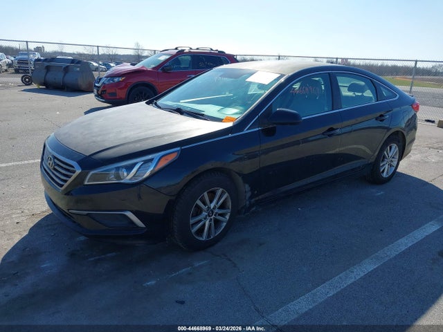 5NPE24AF7GH359899 Hyundai SONATA SE