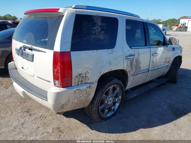 2009 CADILLAC ESCALADE 1GYFK23299R120346 Photo 3