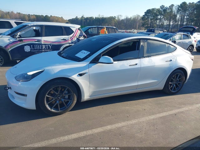 Продажа на аукционе авто 2023 Tesla Model 3 Rear-wheel Drive, vin: 5YJ3E1EA4PF411466, номер лота: 44670671