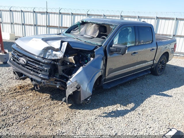 Продаж на аукціоні авто 2024 Ford F-150 Xlt, vin: 1FTFW3LD5RFB66646, номер лоту: 44670847
