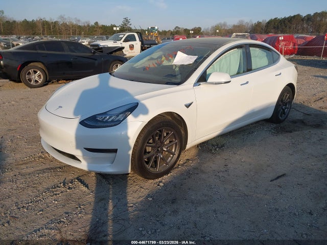 Продаж на аукціоні авто 2020 Tesla Model 3 Standard Range Plus Rear-wheel Drive/standard Range Rear-wheel Drive, vin: 5YJ3E1EA9LF505059, номер лоту: 44671799